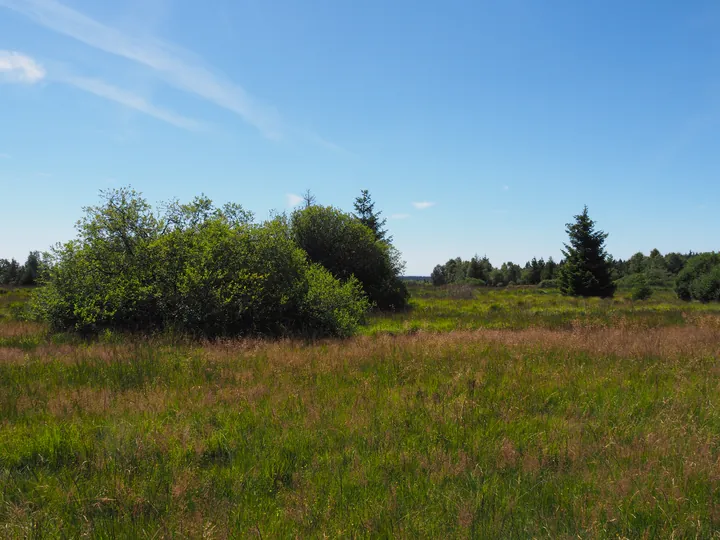 Signal de Botrange (België)